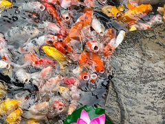 -西林禅寺