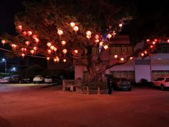 -亮庆餐厅·粤菜·早茶(篁庄店)