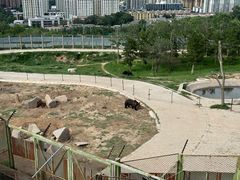 -青藏高原野生动物园