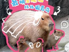 -宁波杉井奥特莱斯广场