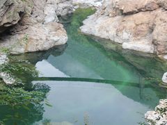 -黑河国家森林公园