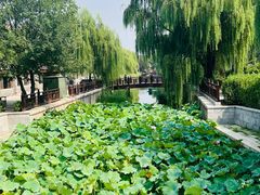 -伊隆斋(什刹海店)