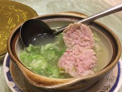 -丁老爷子苏香圆