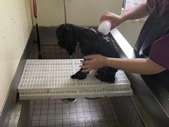 -宠颐生动物医院·小陆分院
