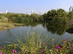-白沙门生态公园