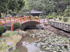 -深圳仙湖植物园
