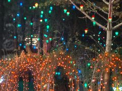 -闽江夜游台江旅游码头