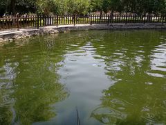 -酷鱼垂钓CLUB(朝阳区博大路店 )