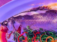 -同庆楼(花园店)