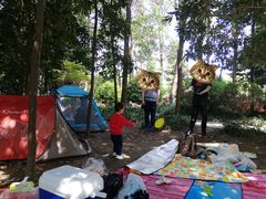 -铁山坪森林公园