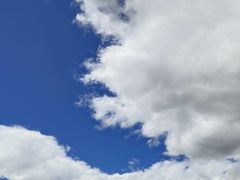 -哈素海