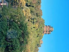 -七欣天香辣蟹火锅(南京建宁路大观天地店)