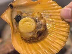 -土蚝·高压锅生蚝(百姓美食街店)