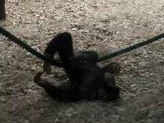 -广州长隆野生动物世界