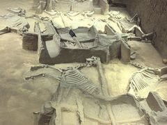 -洛阳周王城天子驾六博物馆