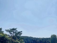 -沈阳森林动物园