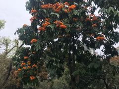 -晓港公园