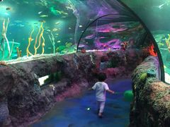 -沈阳海洋探索中心