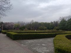 -洛阳市隋唐城遗址植物园