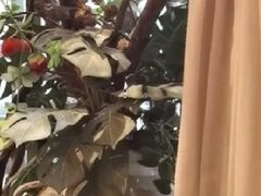 -玛格萝妮比萨屋(四平店)