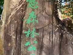 -昆山城市生态森林公园