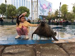 -芜湖新华联大白鲸海洋公园