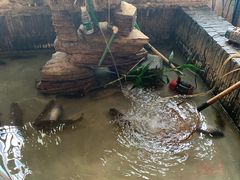 -百味地锅鸡(二店·财校分店)