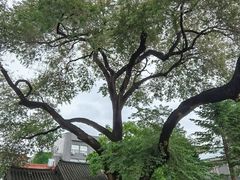 -张学良故居