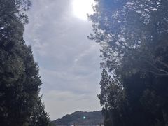 -十三陵水库