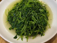 炒豆苗-红灯笼龙凤饭店(宁波老字号店)