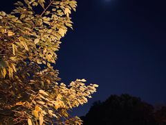 -考拉拉音乐酒吧