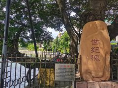 -石炮台公园