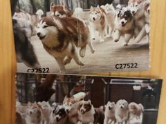 -TrueLove @ Neverland (Husky Cafe)
