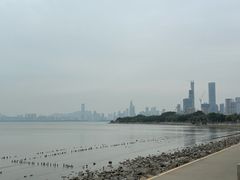 -深圳湾公园(南山区)