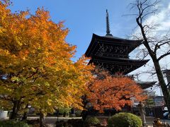 -医王山·飞騨国分寺