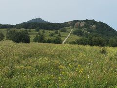 -白草畔自然风景区