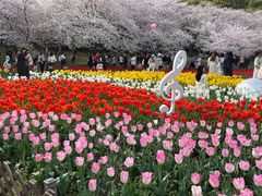 -苏州上方山国家森林公园
