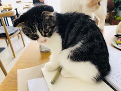 -平行世界·猫咖(首经贸店)