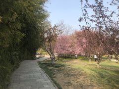 -丰台花园