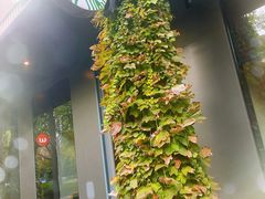 -星巴克(古美路店)