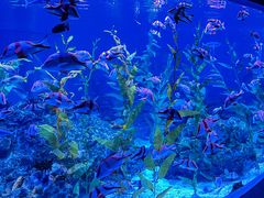 -海合安成都极地海洋公园
