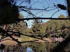 -香山公园