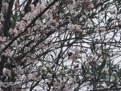 -艾溪湖湿地公园