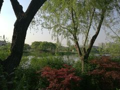 -新江湾城公园