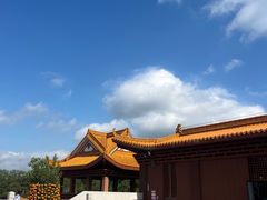 -深圳仙湖植物园