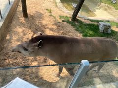 -西霞口神雕山野生动物世界