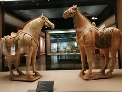 -西安大唐西市博物馆