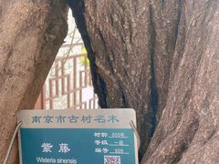 -郑和公园