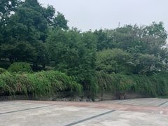 -合肥生态公园