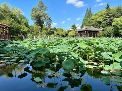 -虞山风景区
